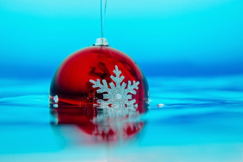 фотосессия во Вьетнаме Holiday Spirit at Gold Medal Pools