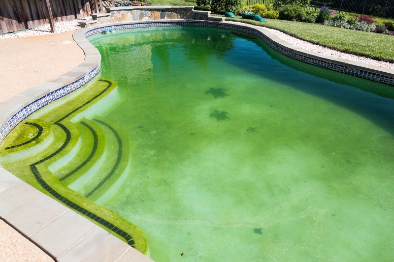 Prepare your pool for Spring